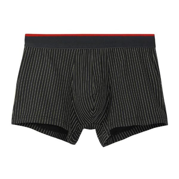 Мужские хлопковые боксеры Cotton Boxer Brief