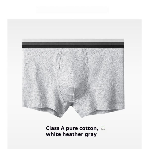 Мужские хлопковые боксеры Class A Cotton