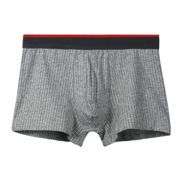 Мужские хлопковые боксеры Cotton Boxer Brief