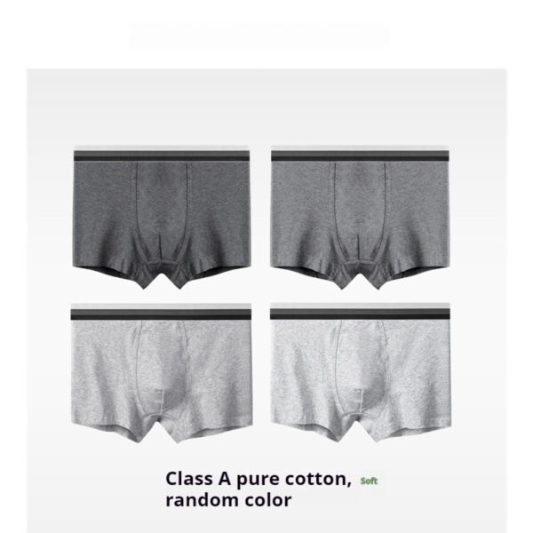 Мужские хлопковые боксеры Class A Cotton